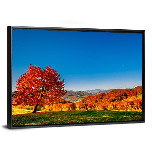 Carpathian Mountains In Autumn Canvas Wall Art-3 Horizontal-Gallery Wrap-25" x 16"-Tiaracle