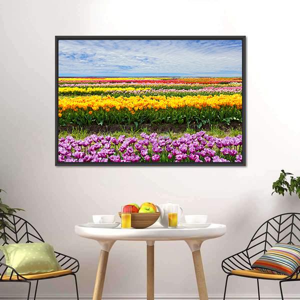 Colorful Tulips Canvas Wall Art-3 Horizontal-Gallery Wrap-25" x 16"-Tiaracle