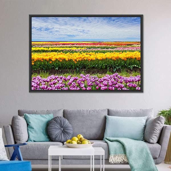 Colorful Tulips Canvas Wall Art-3 Horizontal-Gallery Wrap-25" x 16"-Tiaracle
