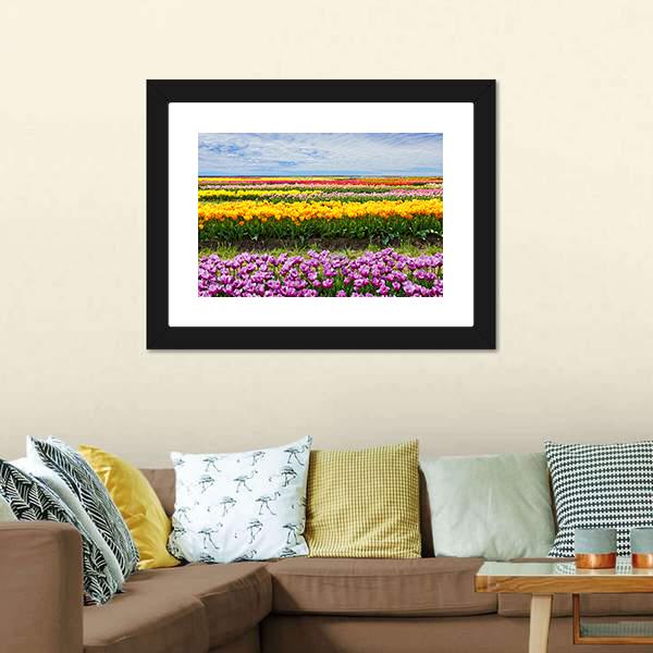 Colorful Tulips Canvas Wall Art-3 Horizontal-Gallery Wrap-25" x 16"-Tiaracle