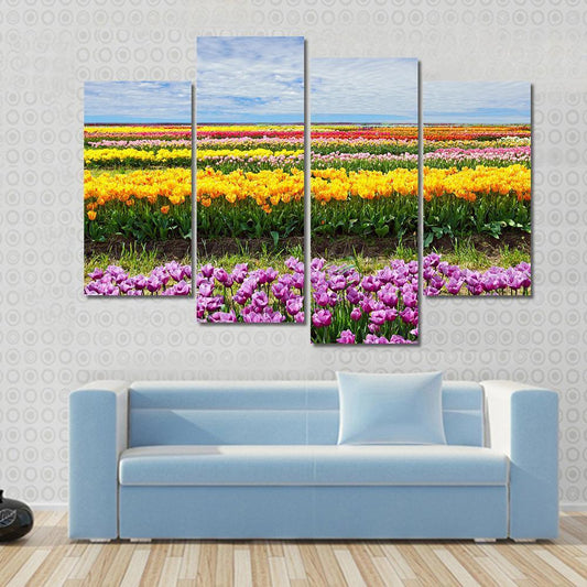 Colorful Tulips Canvas Wall Art-4 Pop-Gallery Wrap-50" x 32"-Tiaracle