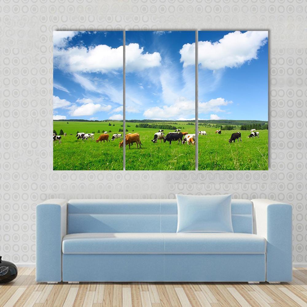 Cows In Green Meadow Canvas Wall Art-3 Horizontal-Gallery Wrap-37" x 24"-Tiaracle