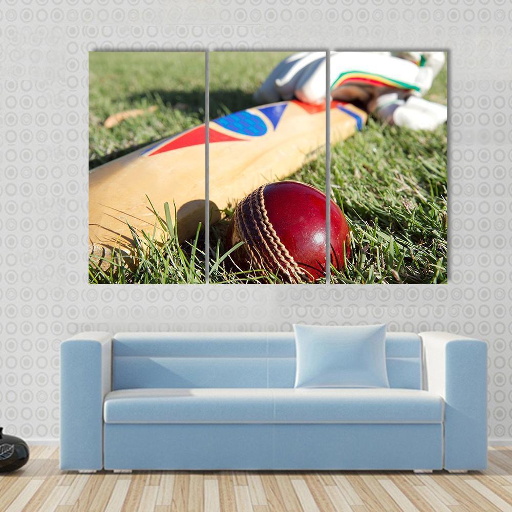 Cricket Ball Bat & Gloves Canvas Wall Art-3 Horizontal-Gallery Wrap-37" x 24"-Tiaracle