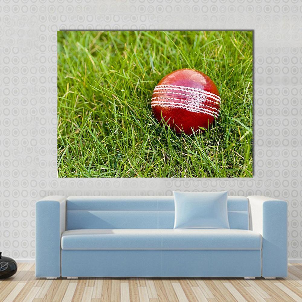 Cricket Ball Canvas Wall Art-1 Piece-Gallery Wrap-48" x 32"-Tiaracle