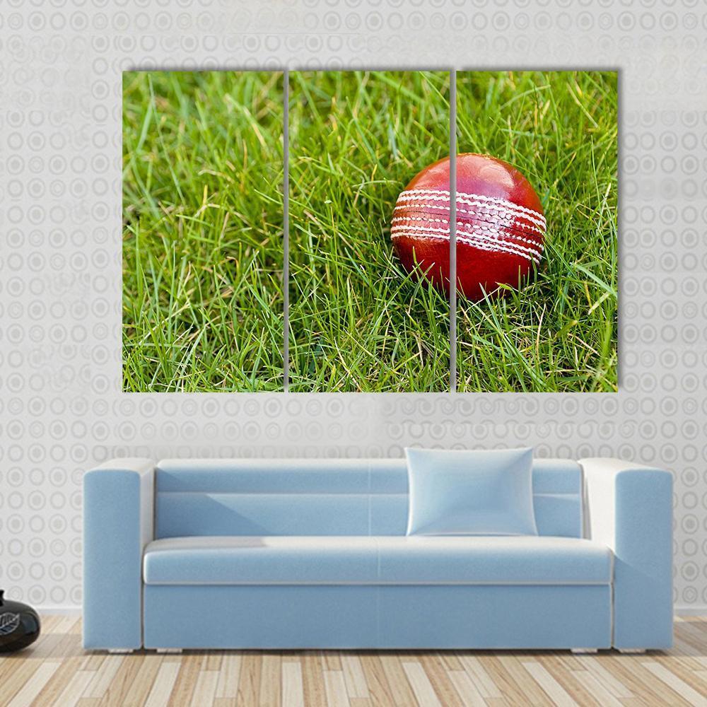 Cricket Ball Canvas Wall Art-3 Horizontal-Gallery Wrap-37" x 24"-Tiaracle