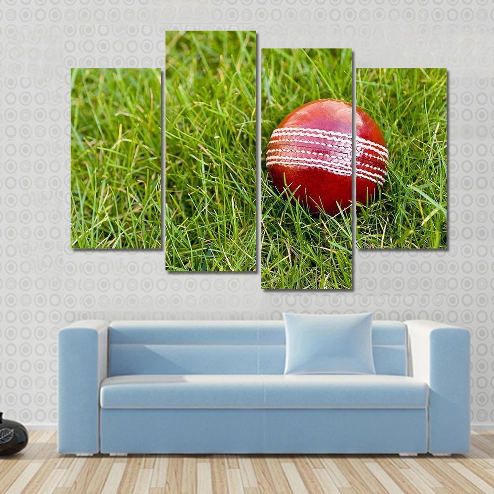 Cricket Ball Canvas Wall Art-4 Pop-Gallery Wrap-50" x 32"-Tiaracle