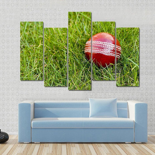 Cricket Ball Canvas Wall Art-5 Pop-Gallery Wrap-47" x 32"-Tiaracle