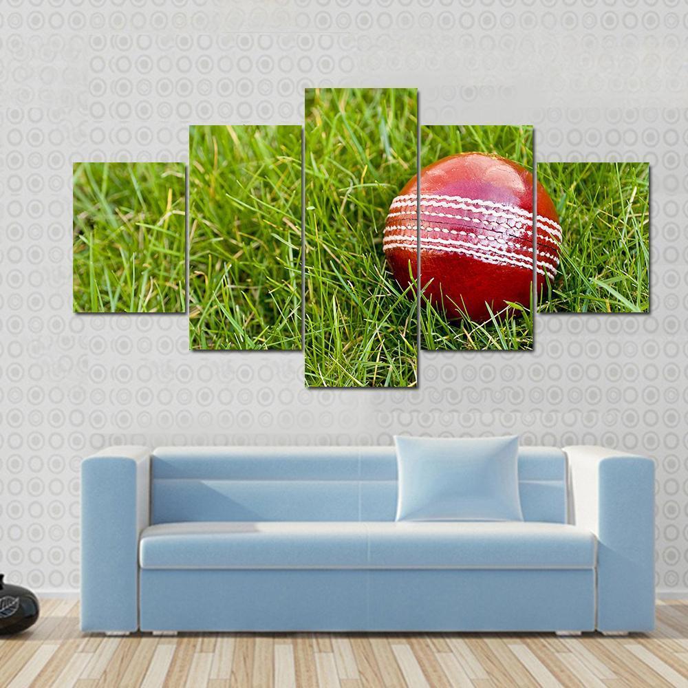 Cricket Ball Canvas Wall Art-5 Star-Gallery Wrap-62" x 32"-Tiaracle