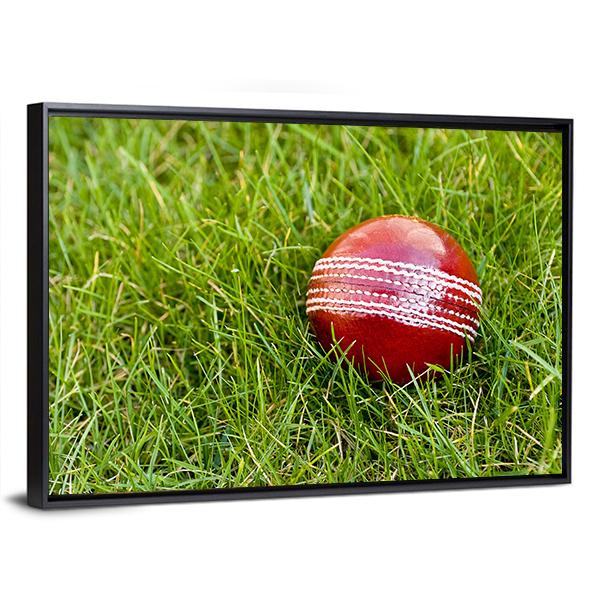 Cricket Ball Canvas Wall Art-3 Horizontal-Gallery Wrap-25" x 16"-Tiaracle