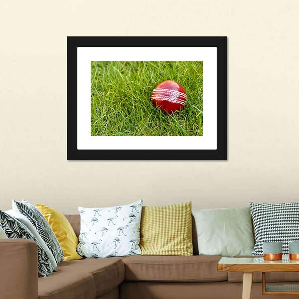 Cricket Ball Canvas Wall Art-1 Piece-Framed Print-20" x 16"-Tiaracle