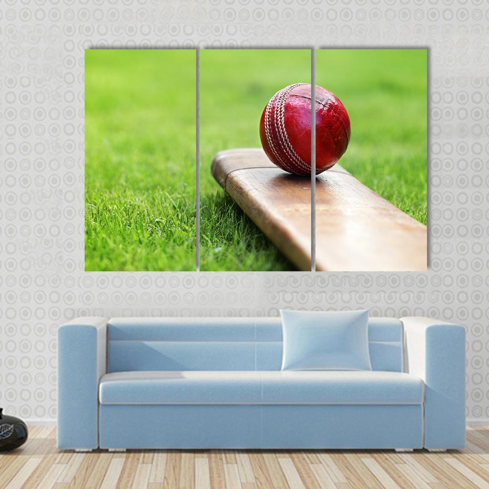 Cricket Ball On Bat Canvas Wall Art-3 Horizontal-Gallery Wrap-37" x 24"-Tiaracle