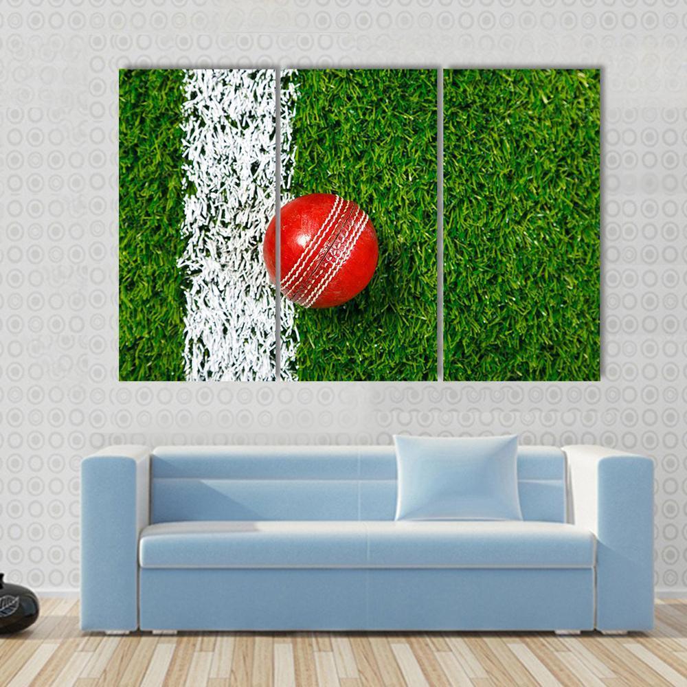 Cricket Ball On Grass Canvas Wall Art-3 Horizontal-Gallery Wrap-37" x 24"-Tiaracle