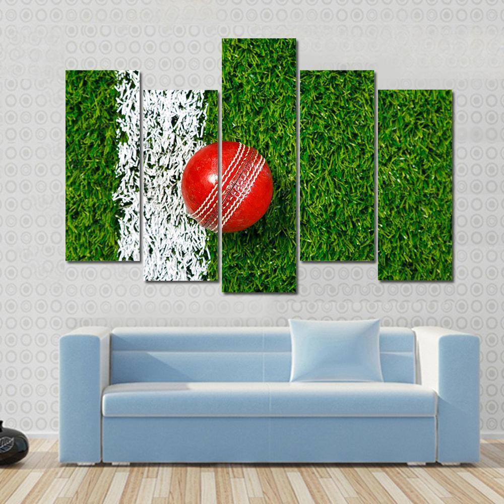 Cricket Ball On Grass Canvas Wall Art-5 Pop-Gallery Wrap-47" x 32"-Tiaracle