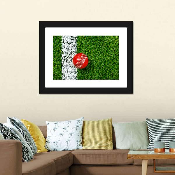 Cricket Ball On Grass Canvas Wall Art-1 Piece-Framed Print-20" x 16"-Tiaracle