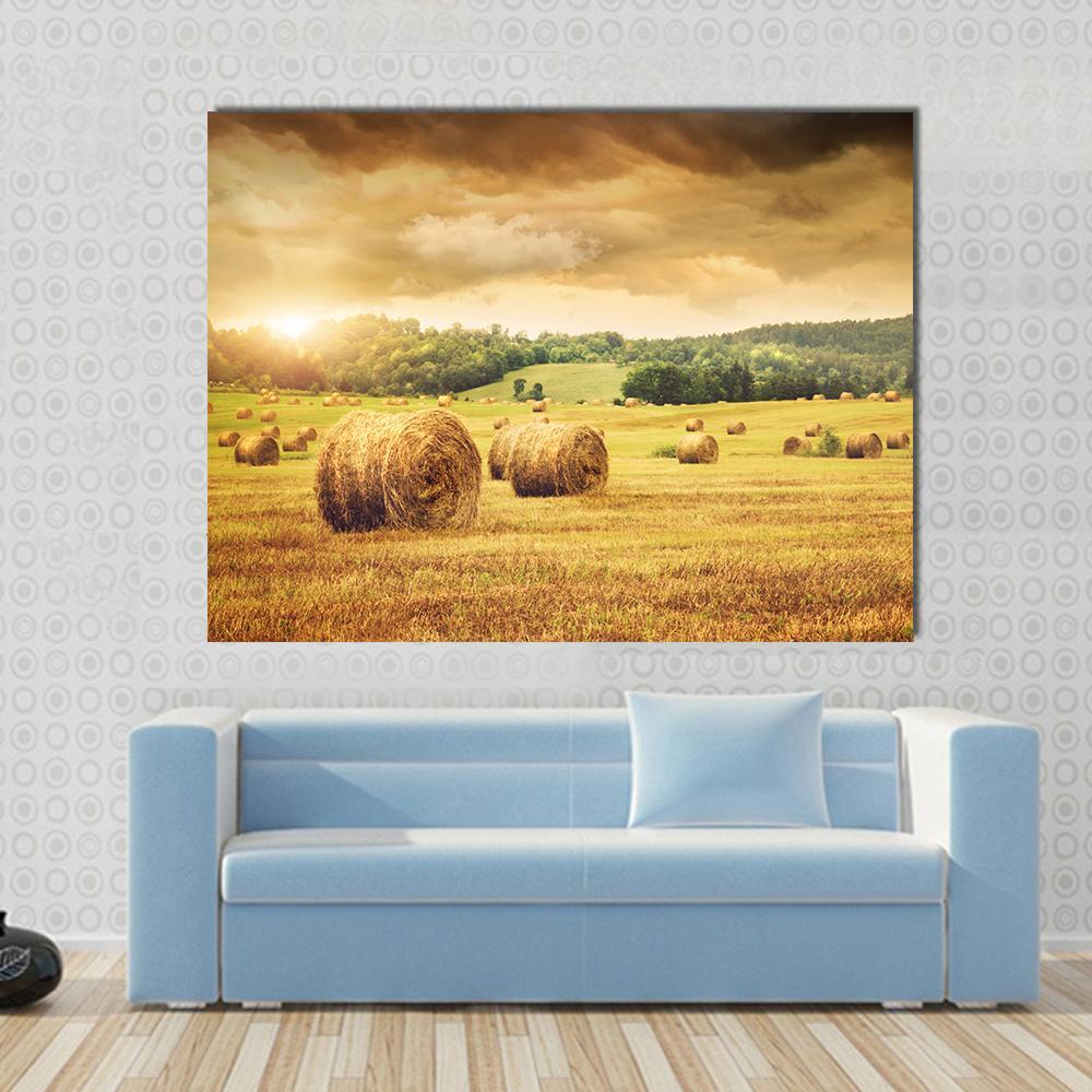 Cut Bales Of Hay Canvas Wall Art-1 Piece-Gallery Wrap-48" x 32"-Tiaracle