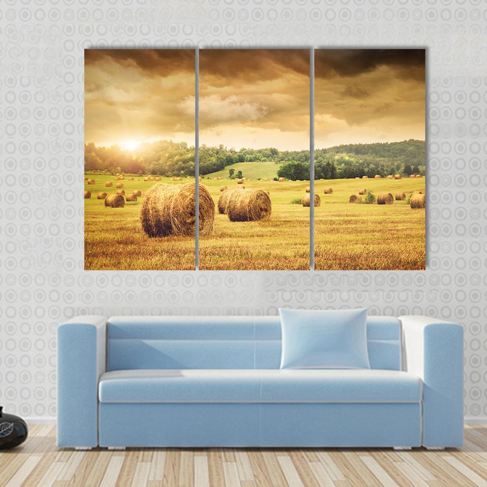 Cut Bales Of Hay Canvas Wall Art-3 Horizontal-Gallery Wrap-37" x 24"-Tiaracle