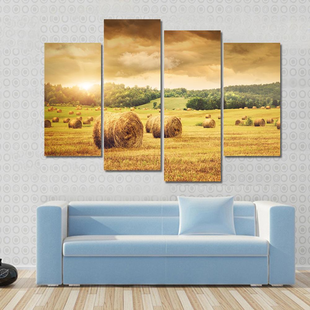 Cut Bales Of Hay Canvas Wall Art-4 Pop-Gallery Wrap-50" x 32"-Tiaracle