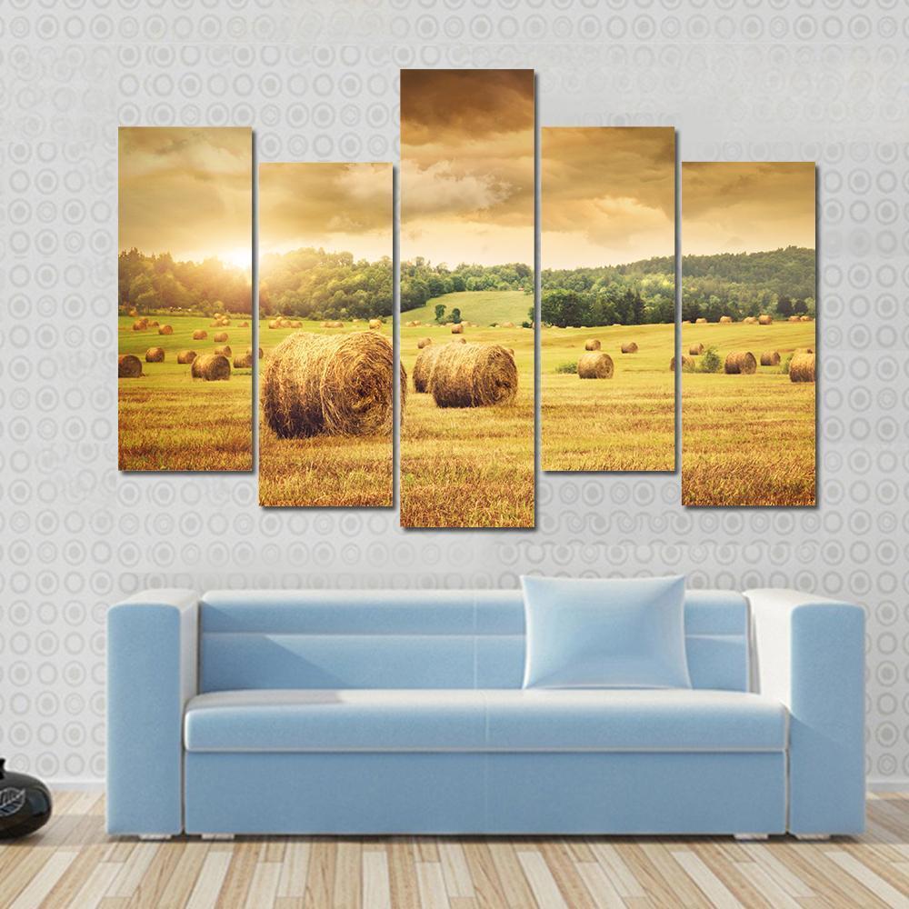 Cut Bales Of Hay Canvas Wall Art-5 Pop-Gallery Wrap-47" x 32"-Tiaracle