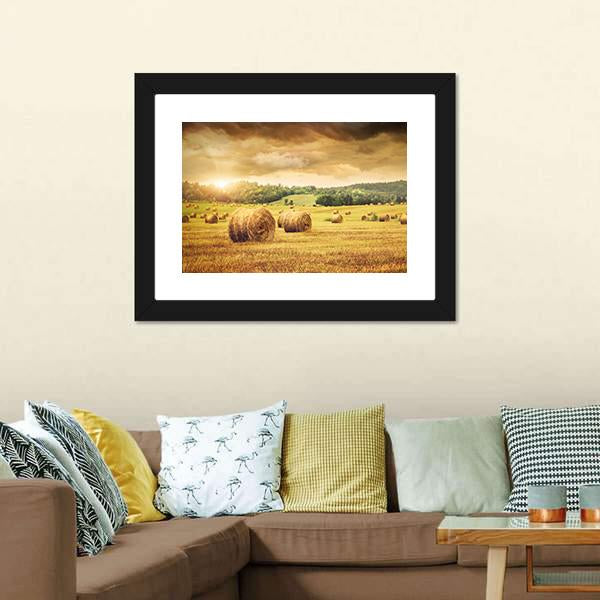 Cut Bales Of Hay Canvas Wall Art-3 Horizontal-Gallery Wrap-25" x 16"-Tiaracle