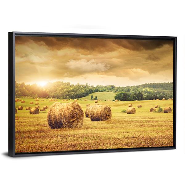 Cut Bales Of Hay Canvas Wall Art-3 Horizontal-Gallery Wrap-25" x 16"-Tiaracle