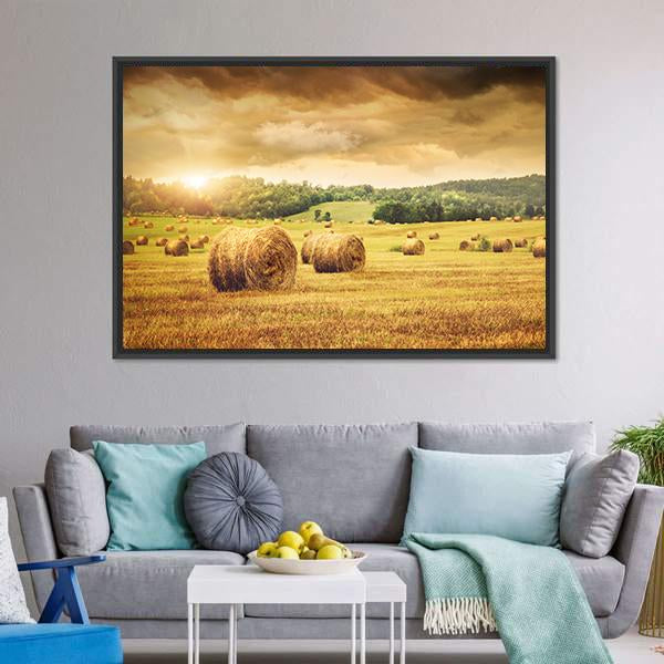 Cut Bales Of Hay Canvas Wall Art-3 Horizontal-Gallery Wrap-25" x 16"-Tiaracle