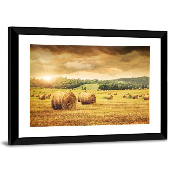 Cut Bales Of Hay Canvas Wall Art-3 Horizontal-Gallery Wrap-25" x 16"-Tiaracle