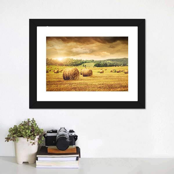 Cut Bales Of Hay Canvas Wall Art-1 Piece-Framed Print-20" x 16"-Tiaracle