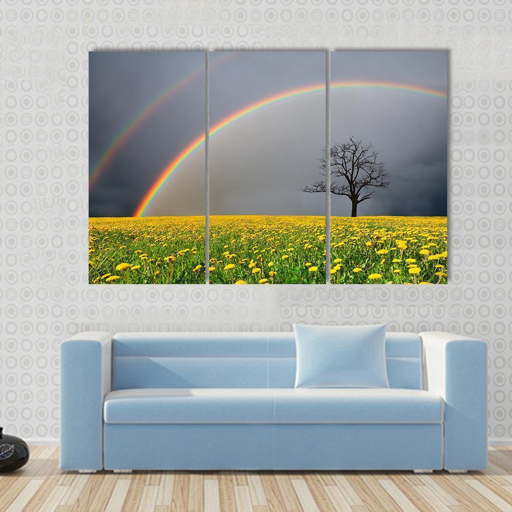 Dandelion Field With Rainbow Canvas Wall Art-3 Horizontal-Gallery Wrap-37" x 24"-Tiaracle