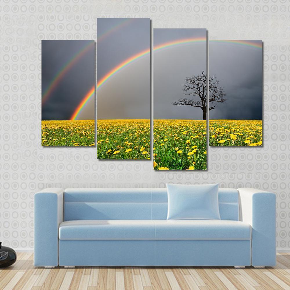 Dandelion Field With Rainbow Canvas Wall Art-4 Pop-Gallery Wrap-50" x 32"-Tiaracle