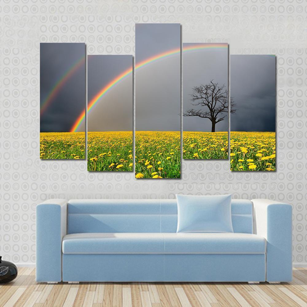 Dandelion Field With Rainbow Canvas Wall Art-5 Pop-Gallery Wrap-47" x 32"-Tiaracle