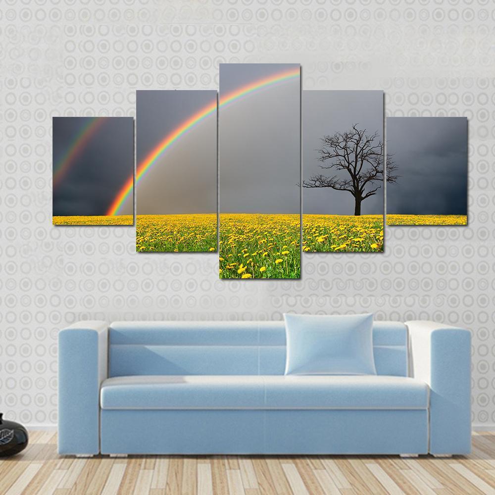 Dandelion Field With Rainbow Canvas Wall Art-5 Star-Gallery Wrap-62" x 32"-Tiaracle