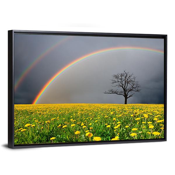 Dandelion Field With Rainbow Canvas Wall Art-3 Horizontal-Gallery Wrap-25" x 16"-Tiaracle