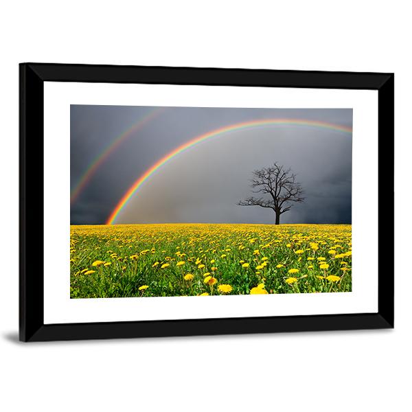 Dandelion Field With Rainbow Canvas Wall Art-3 Horizontal-Gallery Wrap-25" x 16"-Tiaracle