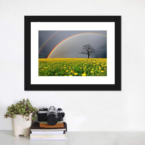 Dandelion Field With Rainbow Canvas Wall Art-3 Horizontal-Gallery Wrap-25" x 16"-Tiaracle