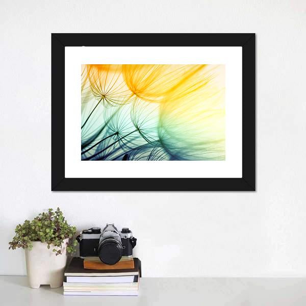 Dandelion Seed In Sunlight Canvas Wall Art-3 Horizontal-Gallery Wrap-25" x 16"-Tiaracle