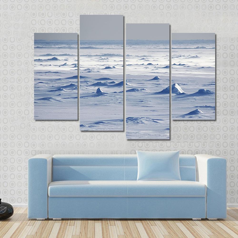 Endless Antarctic Snowfields Canvas Wall Art-4 Pop-Gallery Wrap-50" x 32"-Tiaracle