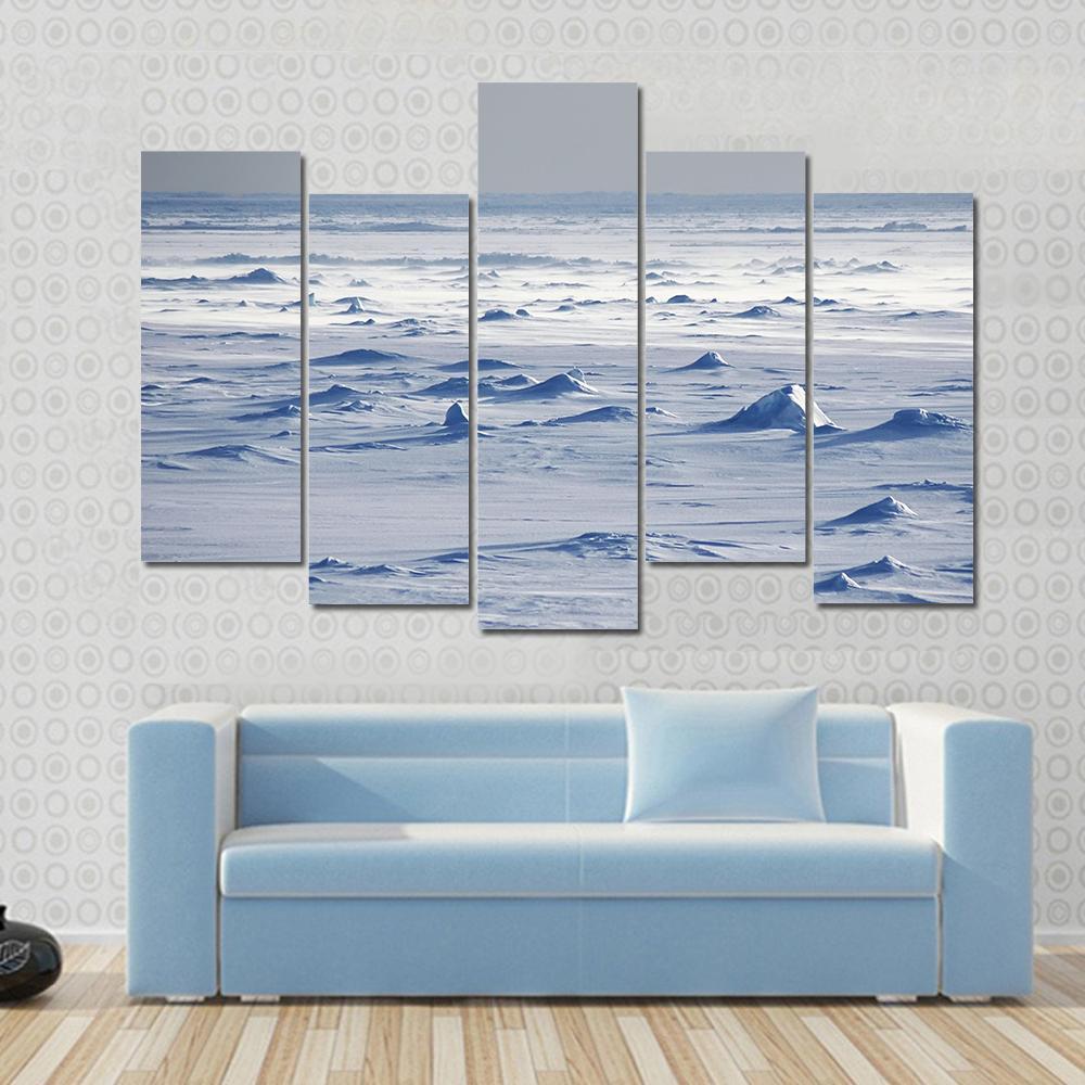 Endless Antarctic Snowfields Canvas Wall Art-5 Pop-Gallery Wrap-47" x 32"-Tiaracle