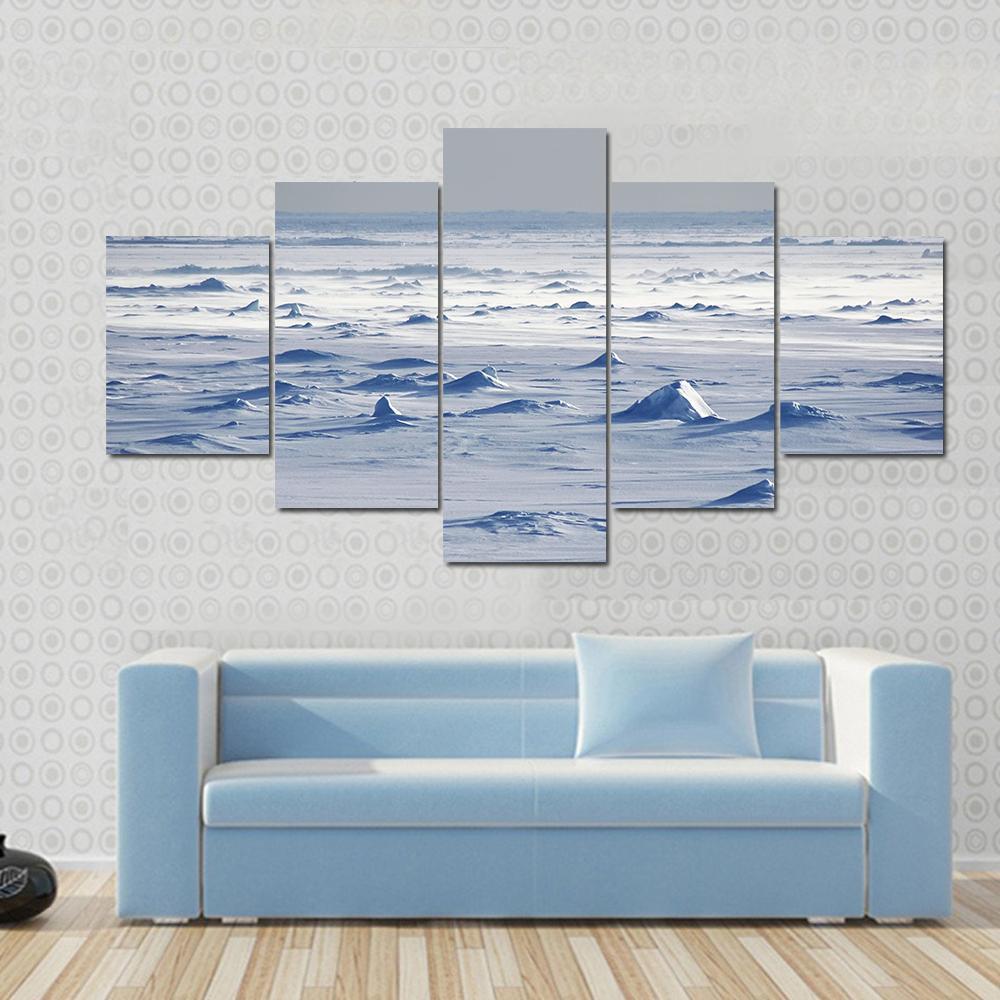 Endless Antarctic Snowfields Canvas Wall Art-5 Star-Gallery Wrap-62" x 32"-Tiaracle