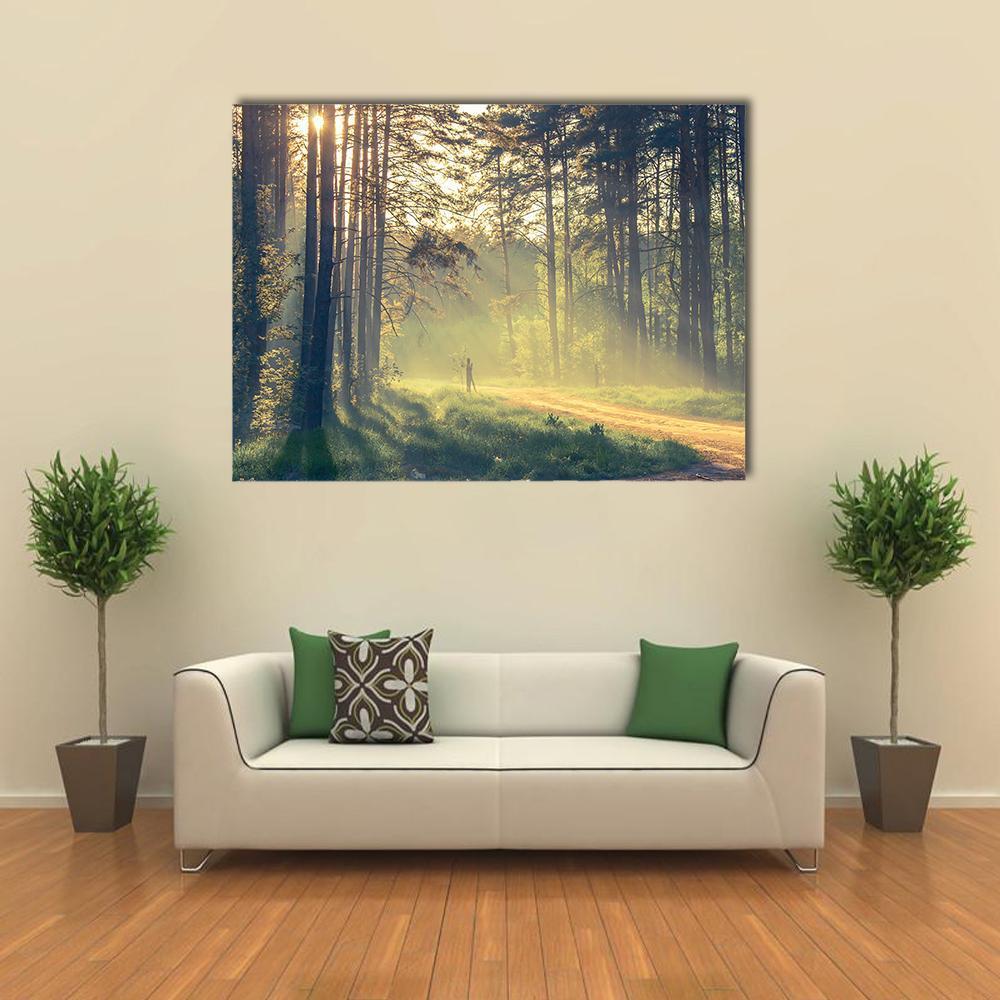 Evening Forest With Sun Canvas Wall Art-1 Piece-Gallery Wrap-48" x 32"-Tiaracle