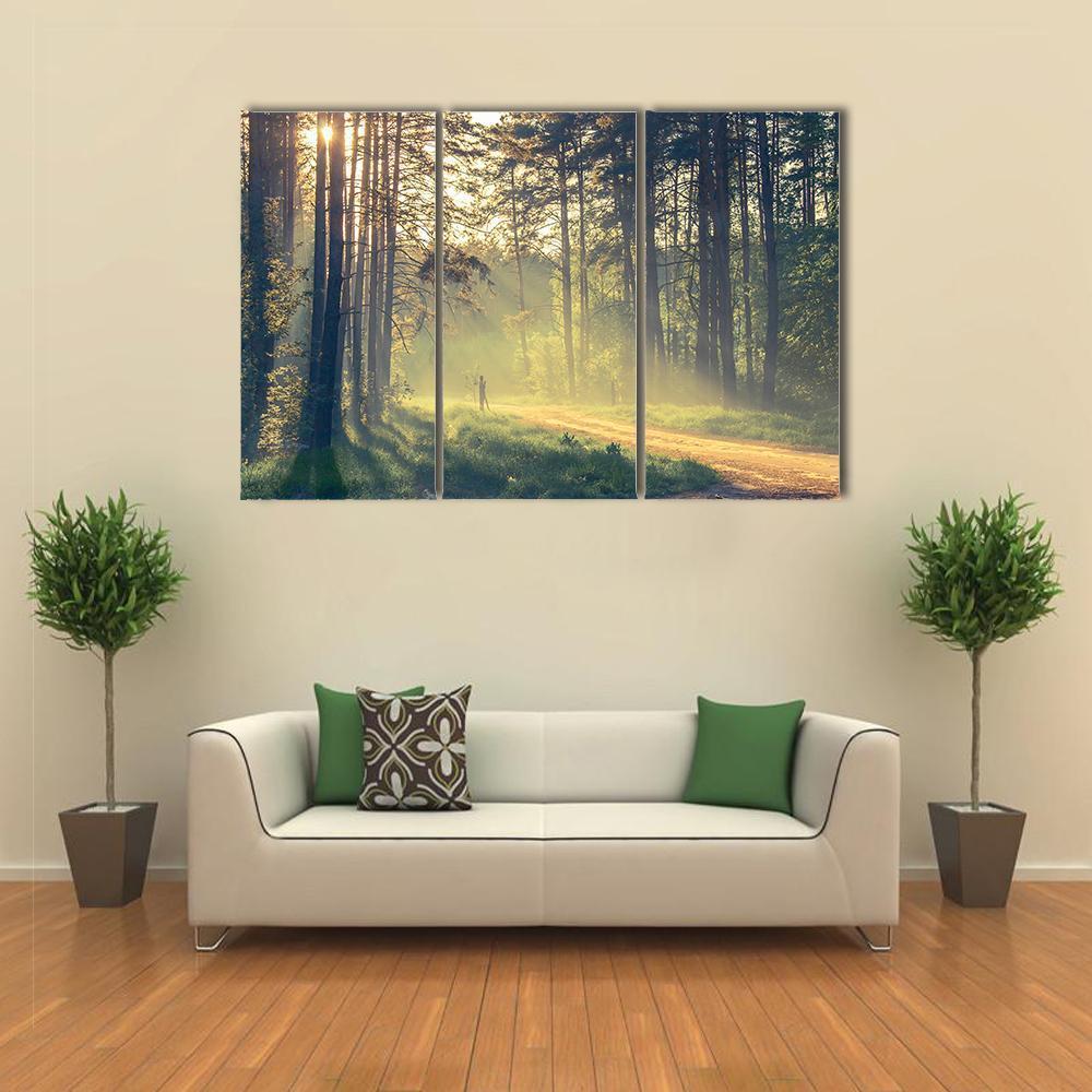 Evening Forest With Sun Canvas Wall Art-3 Horizontal-Gallery Wrap-37" x 24"-Tiaracle