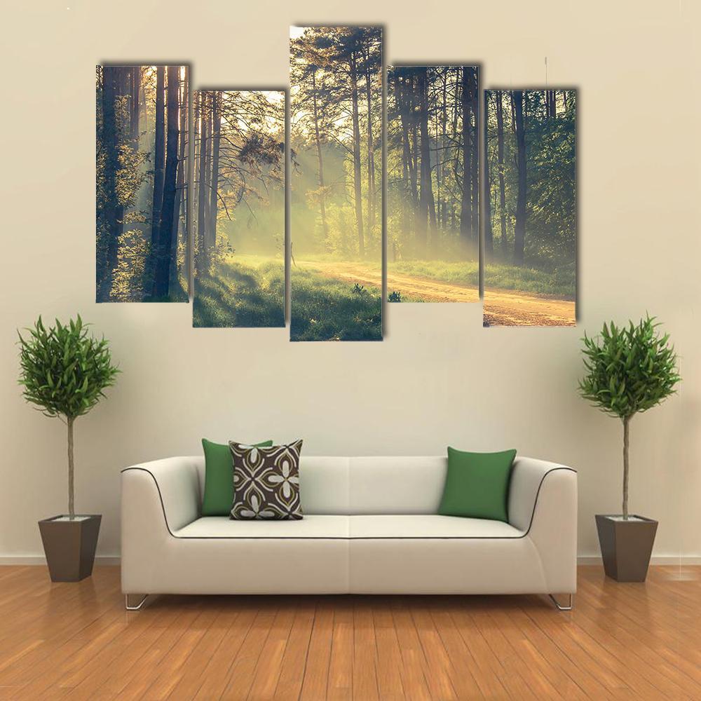 Evening Forest With Sun Canvas Wall Art-5 Pop-Gallery Wrap-47" x 32"-Tiaracle