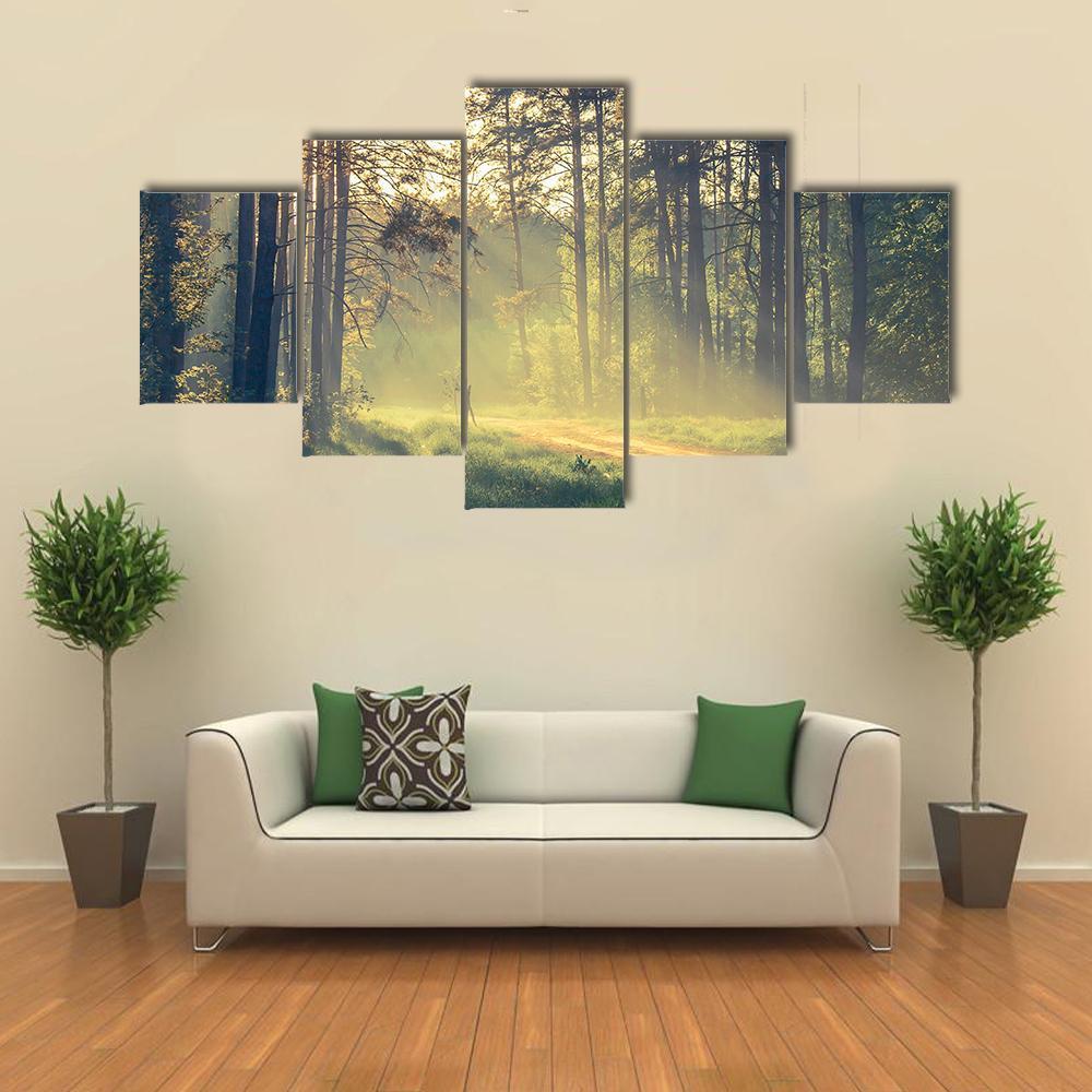 Evening Forest With Sun Canvas Wall Art-5 Star-Gallery Wrap-62" x 32"-Tiaracle