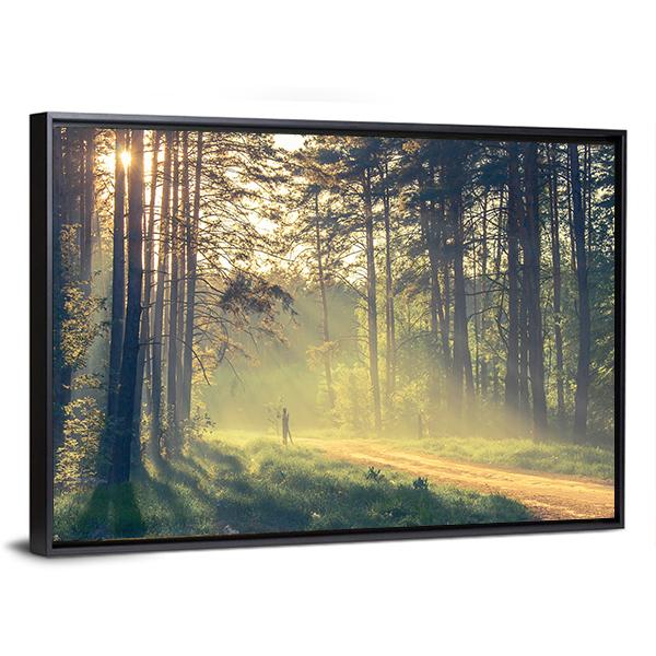 Evening Forest With Sun Canvas Wall Art-3 Horizontal-Gallery Wrap-25" x 16"-Tiaracle