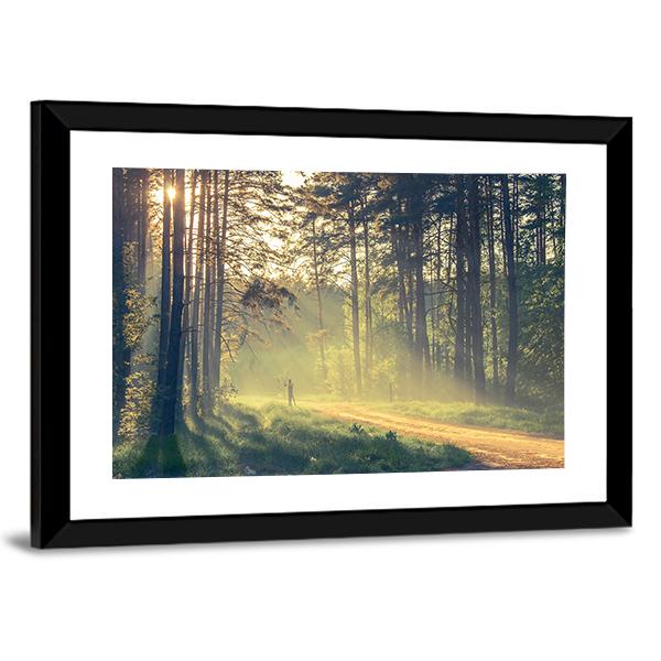 Evening Forest With Sun Canvas Wall Art-3 Horizontal-Gallery Wrap-25" x 16"-Tiaracle