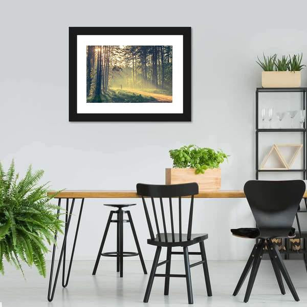 Evening Forest With Sun Canvas Wall Art-3 Horizontal-Gallery Wrap-25" x 16"-Tiaracle