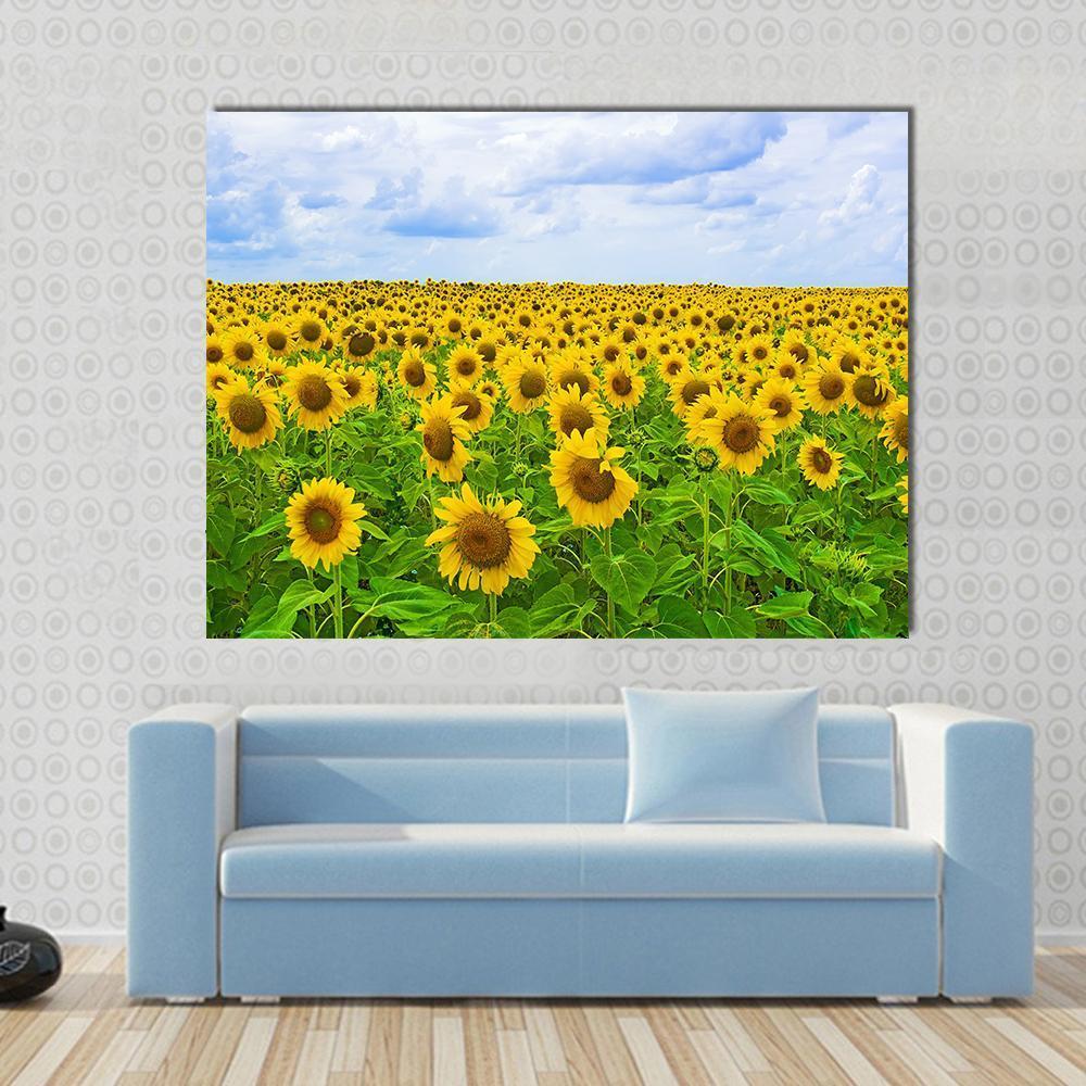 Field Of Sunflower Canvas Wall Art-1 Piece-Gallery Wrap-48" x 32"-Tiaracle