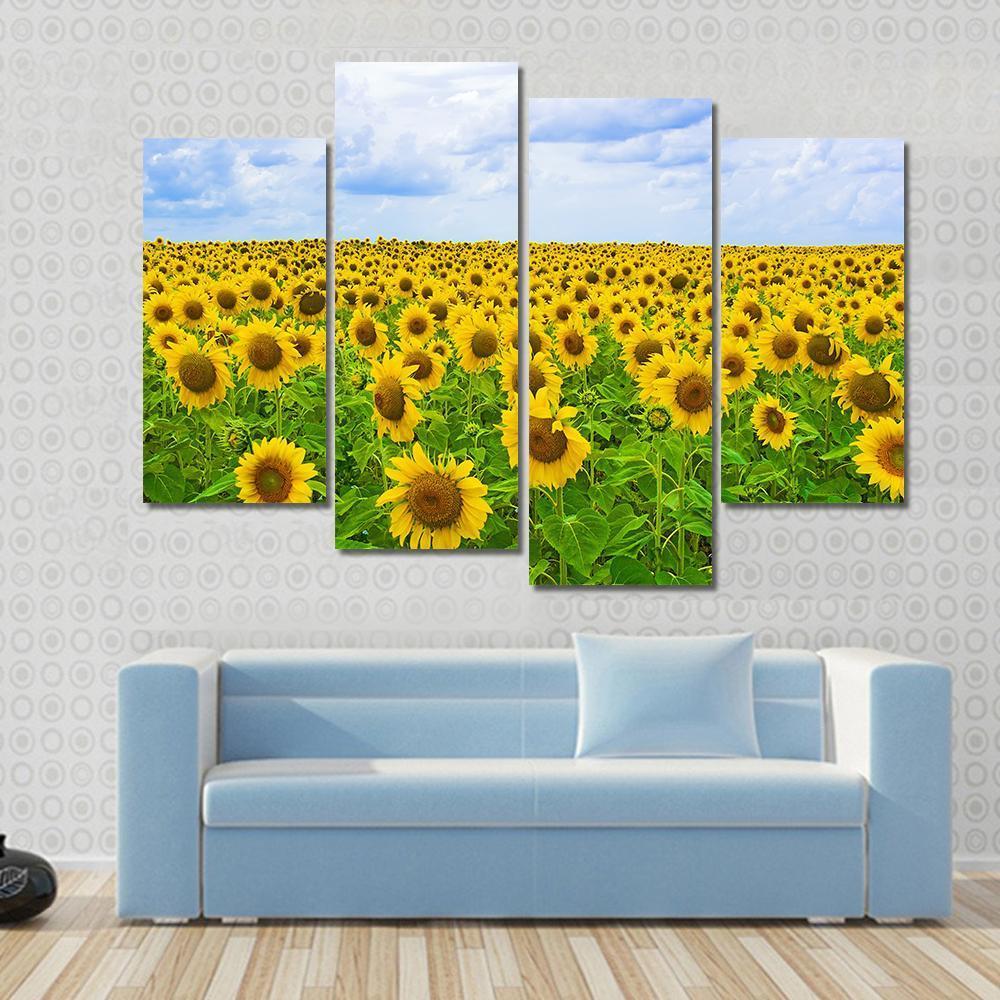 Field Of Sunflower Canvas Wall Art-4 Pop-Gallery Wrap-50" x 32"-Tiaracle