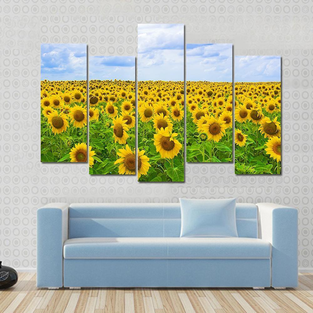 Field Of Sunflower Canvas Wall Art-5 Pop-Gallery Wrap-47" x 32"-Tiaracle