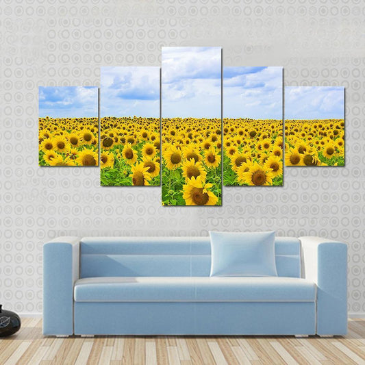 Field Of Sunflower Canvas Wall Art-5 Star-Gallery Wrap-62" x 32"-Tiaracle