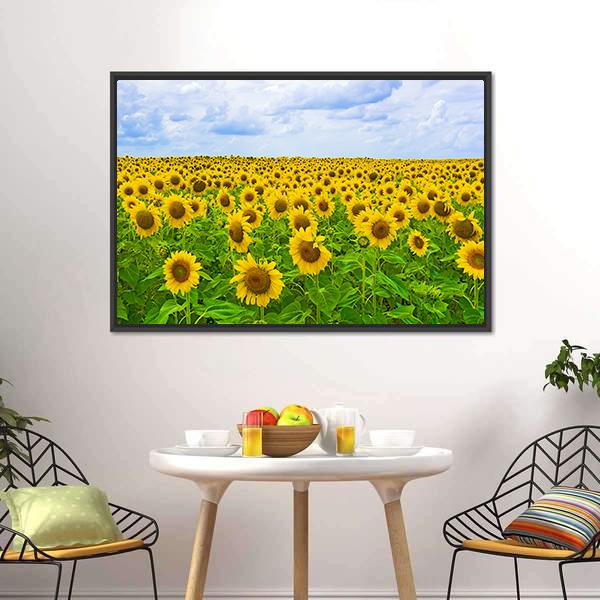 Field Of Sunflower Canvas Wall Art-3 Horizontal-Gallery Wrap-25" x 16"-Tiaracle